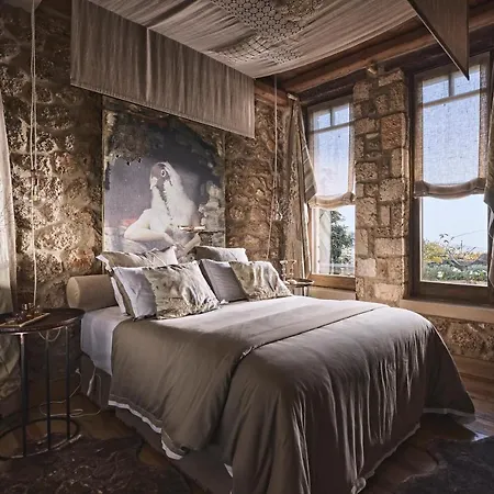 Area Synest Nature Sinevron