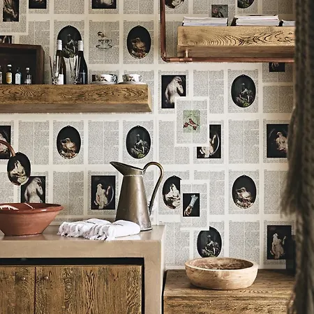 Area Synest Nature * Sinevron