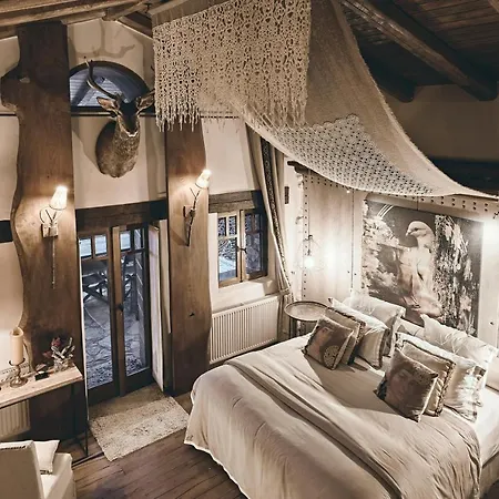 Area Synest Nature Sinevron