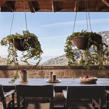 Hotell Area Synest Nature