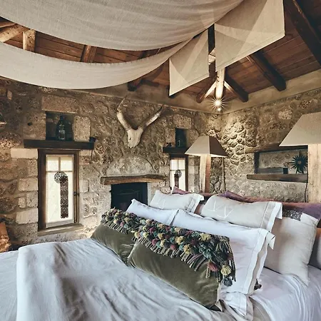 Area Synest Nature *