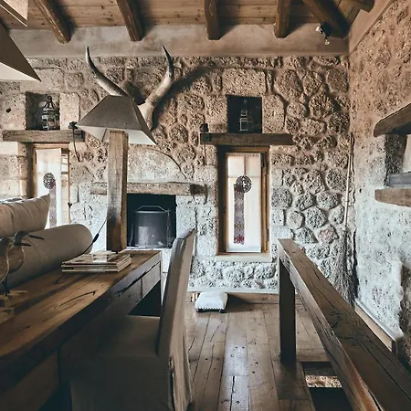 Area Synest Nature *