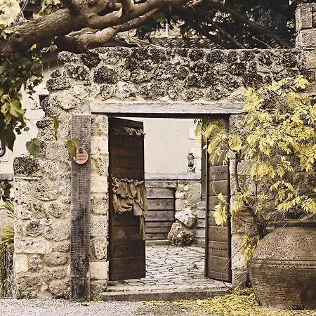 Area Synest Nature *