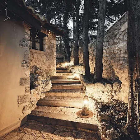 Area Synest Nature