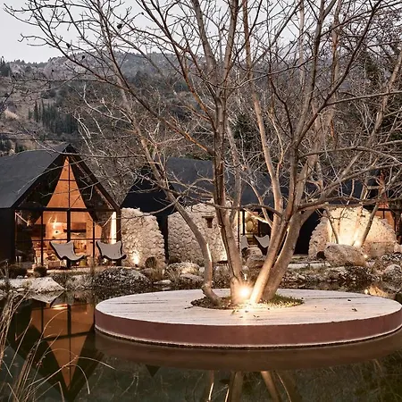 Area Synest Nature * Sinevron