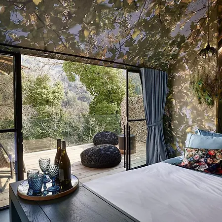 Area Synest Nature Sinevron