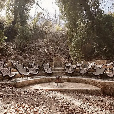 Area Synest Nature Sinevron