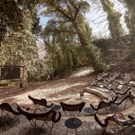 Area Synest Nature *