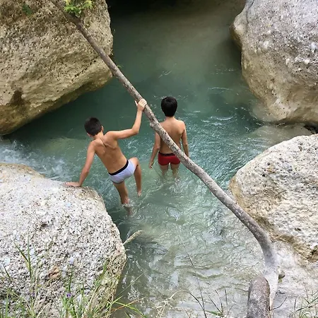 Area Synest Nature * Sinevron