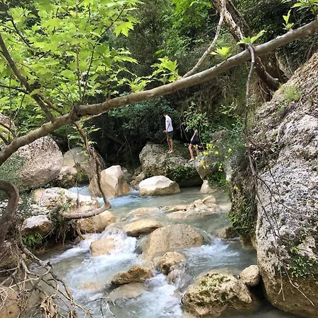Area Synest Nature *