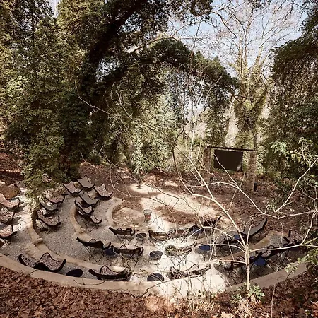 Area Synest Nature