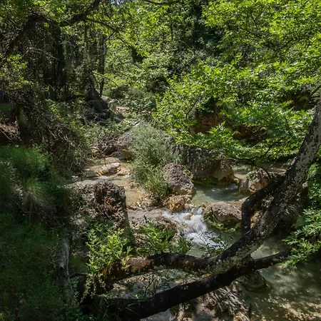 Area Synest Nature *