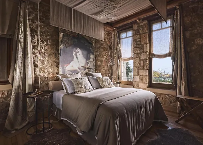 Area Synest Nature Sinevron