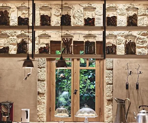 Area Synest Nature Sinevron