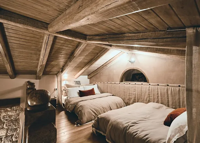 Hotel Area Synest Nature Sinevron