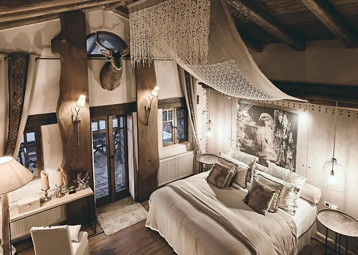 Area Synest Nature Sinevron