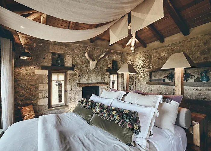 Area Synest Nature *