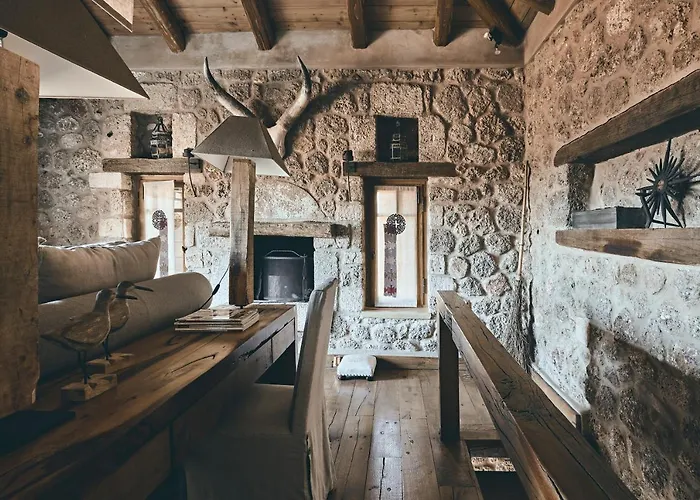 Area Synest Nature *