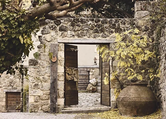 Area Synest Nature *