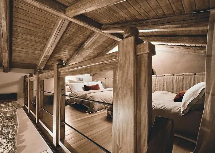 Area Synest Nature Sinevron