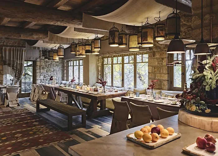 Area Synest Nature Sinevron