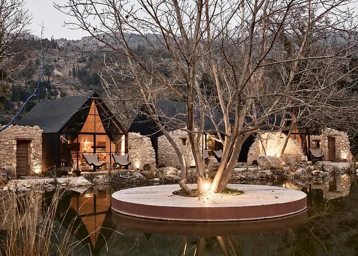 Area Synest Nature * Sinevron