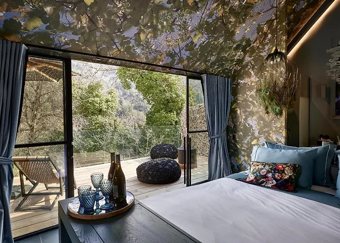 Area Synest Nature Sinevron