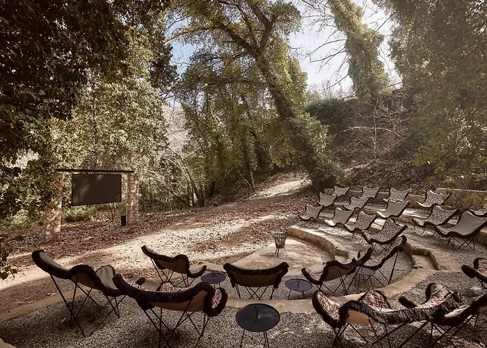 Area Synest Nature *