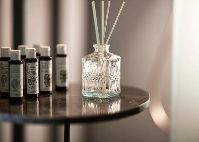 Area Synest Nature Sinevron